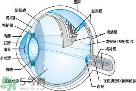近視眼是什么？近視眼的癥狀有哪些？