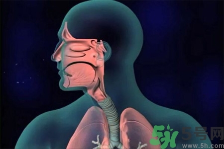 過敏性鼻炎的高發(fā)人群有哪些？如何預防過敏性鼻炎？