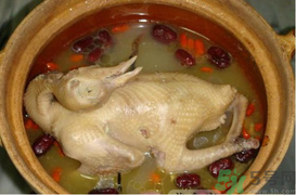 孕婦可以喝鴿子湯嗎？鴿子湯的功效與作用