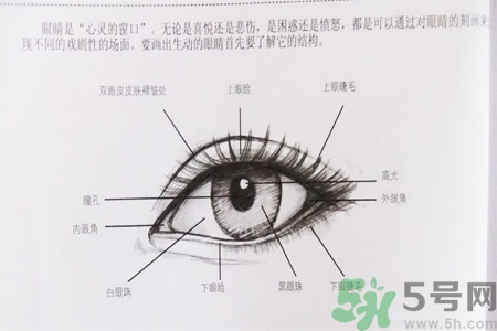 白內(nèi)障的發(fā)病因素是什么？白內(nèi)障并發(fā)癥有哪些？