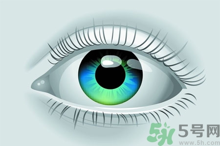 青光眼的高發(fā)人群有哪些？如何預防青光眼？