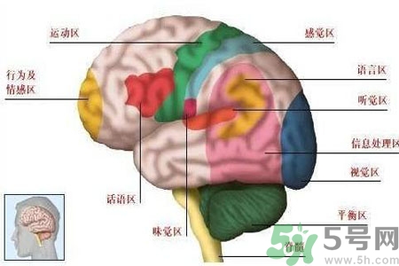 腦出血的高發(fā)人群有哪些？如何預(yù)防腦出血？