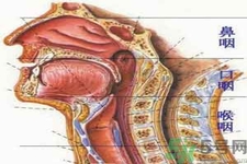 鼻咽癌的治療方法是什么？鼻咽癌可以用什么藥物治療？