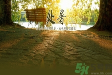 處暑為什么要吃鴨？處暑吃鴨的好處有哪些？