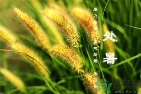 處暑出生的人怎么取名？處暑出生的人的命運(yùn)？