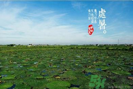 處暑出生的人怎么取名？處暑出生的人的命運(yùn)？