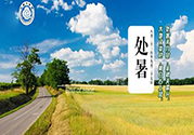 處暑出生的人怎么取名？處暑出生的人的命運？