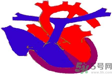 如何預(yù)防心臟病？心臟病的禁忌癥有哪些？