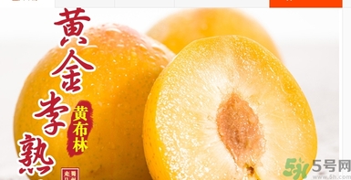 恐龍蛋水果怎么吃？恐龍蛋水果皮能吃嗎？
