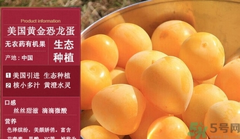 恐龍蛋水果怎么吃？恐龍蛋水果皮能吃嗎？