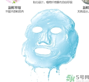 一葉子適合什么年齡？一葉子適合多大年齡？
