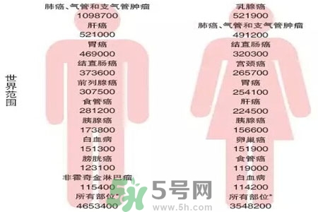 人為什么會(huì)患癌？患癌存在哪些因素？