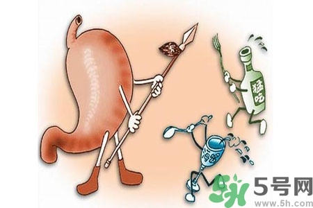 哪些食物幫你在酒后保養(yǎng)胃部？養(yǎng)胃護胃的誤區(qū)是什么？