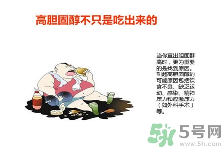 高膽固醇人群該怎么辦？膽固醇高需注意什么？