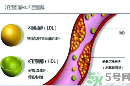膽固醇高會引發(fā)什么疾病嗎？如何控制高膽固醇？