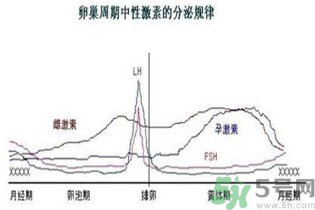 如何分清常見(jiàn)的激素藥？如何正確使用激素類藥物？