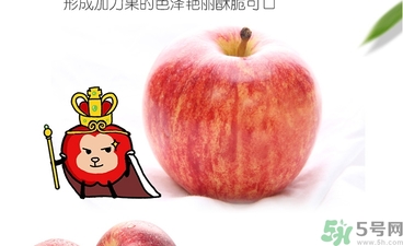 姬娜果是什么？姬娜果的功效作用