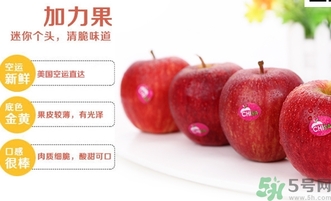 姬娜果是什么？姬娜果的功效作用