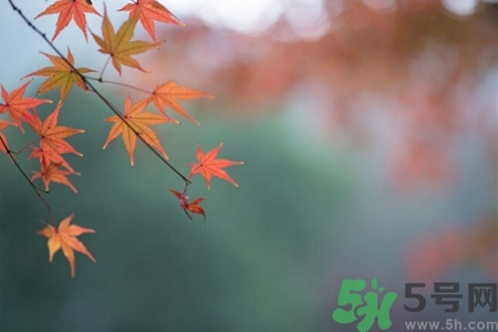 秋老虎如何謹(jǐn)防皮膚??？秋老虎如何預(yù)防皮膚病？