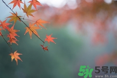 秋天換季病有哪些？秋天該如何保健養(yǎng)生呢？