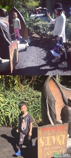 王寶強(qiáng)老婆馬蓉在美國嗎？婚姻中攜款逃跑受什么處罰？