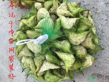 菱角和豬肉能一起吃嗎？菱角和什么不能一起吃？