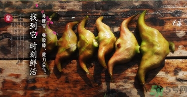 菱角和豬肉能一起吃嗎？菱角和什么不能一起吃？