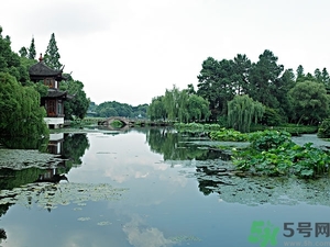菱角是什么？菱角是什么季節(jié)成熟的？