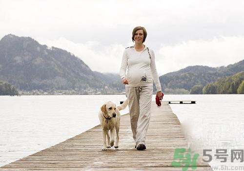 孕婦可以和狗狗在一起嗎？孕婦和狗狗接觸好不好？
