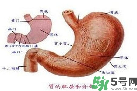 急性腸胃炎哪些食物不可以吃？急性腸胃炎不能吃的水果有？