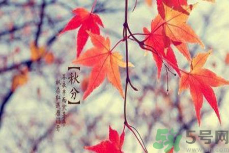 秋燥是什么？秋燥怎么辦？