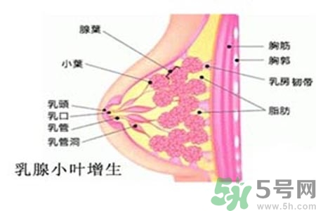 女性乳腺增生的原因是什么？乳腺增生的癥狀有哪些？