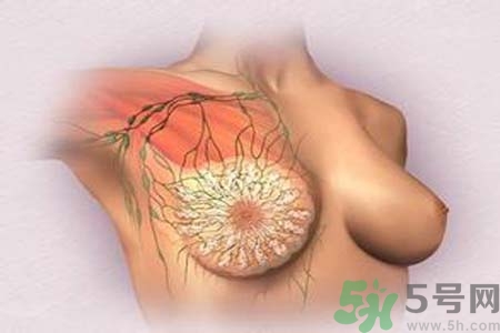 乳頭發(fā)黑是怎么回事？乳頭發(fā)黑是什么原因？