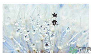 白露身不露是什么意思？白露還熱嗎？
