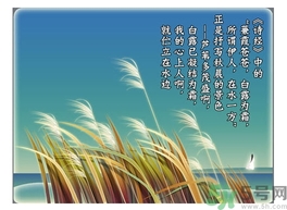 白露茶是什么茶？白露為什么要喝白露茶？