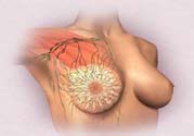乳頭發(fā)黑是怎么回事？乳頭發(fā)黑是什么原因？