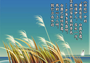 白露是什么意思？白露是幾月幾日