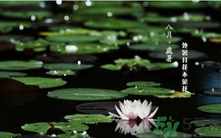 處暑如何養(yǎng)生？處暑養(yǎng)生要注意什么？