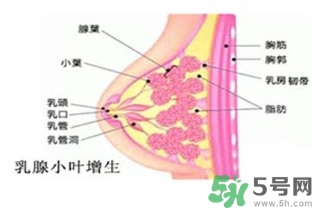 乳房上有硬塊怎么辦？乳房有硬塊的病因是什么？