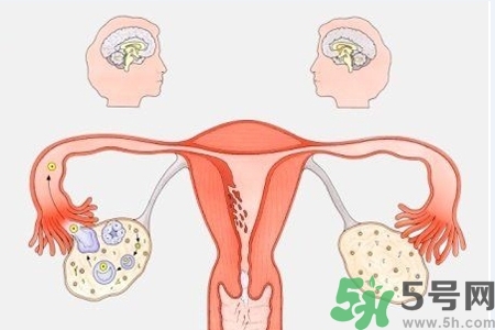 陰道出血癥狀有哪些？陰道出血需注意什么問題？