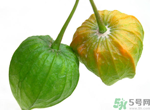 紅姑娘吃多了會(huì)怎樣？吃野生紅姑娘的好處和壞處