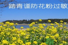花粉過敏的表現(xiàn)是什么？如何有效的預(yù)防花粉過敏？