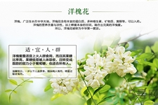 洋槐蜜的鑒別方法是什么？洋槐蜜多少錢一斤？
