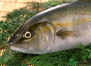 魚眼睛可以吃嗎？吃魚眼睛有什么好處？