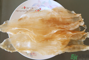 魚膠是什么？魚膠的功效與作用？