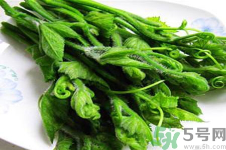 南瓜藤的功效作用有哪些？南瓜藤的食用價(jià)值是什么？