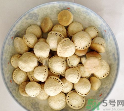 壯陽果怎么食用？壯陽果的功效與作用