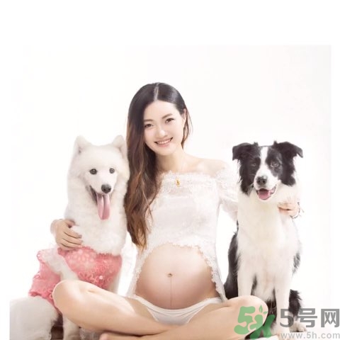 孕婦可以養(yǎng)狗嗎？養(yǎng)狗對(duì)孕婦有影響嗎？