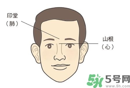 耳垂上有豎紋是怎么回事？山根有橫紋是什么??？