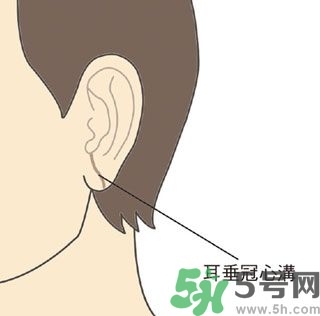 耳垂上有豎紋是怎么回事？山根有橫紋是什么病？